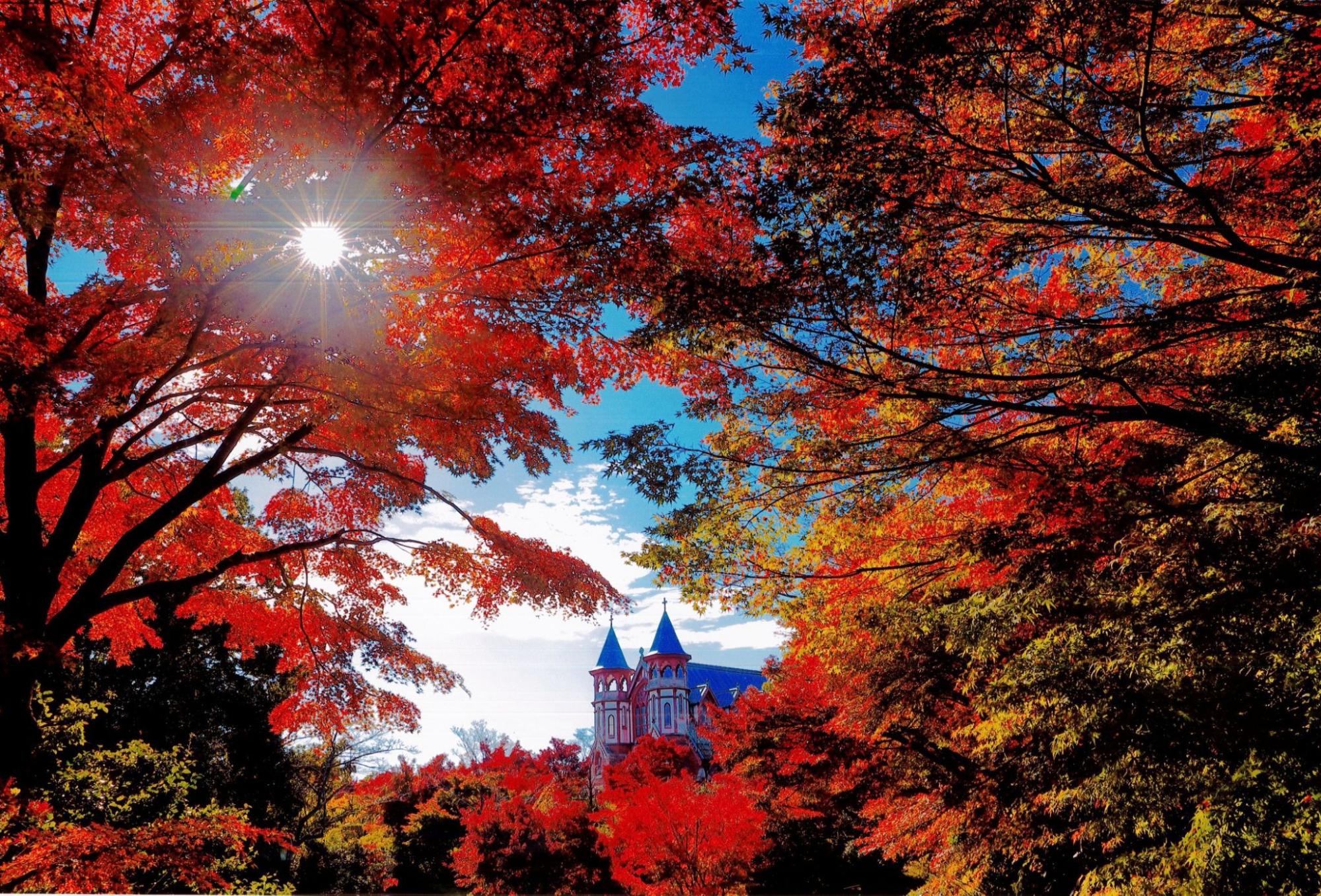 愛知県で穴場の紅葉スポットは？おすすめ5選！