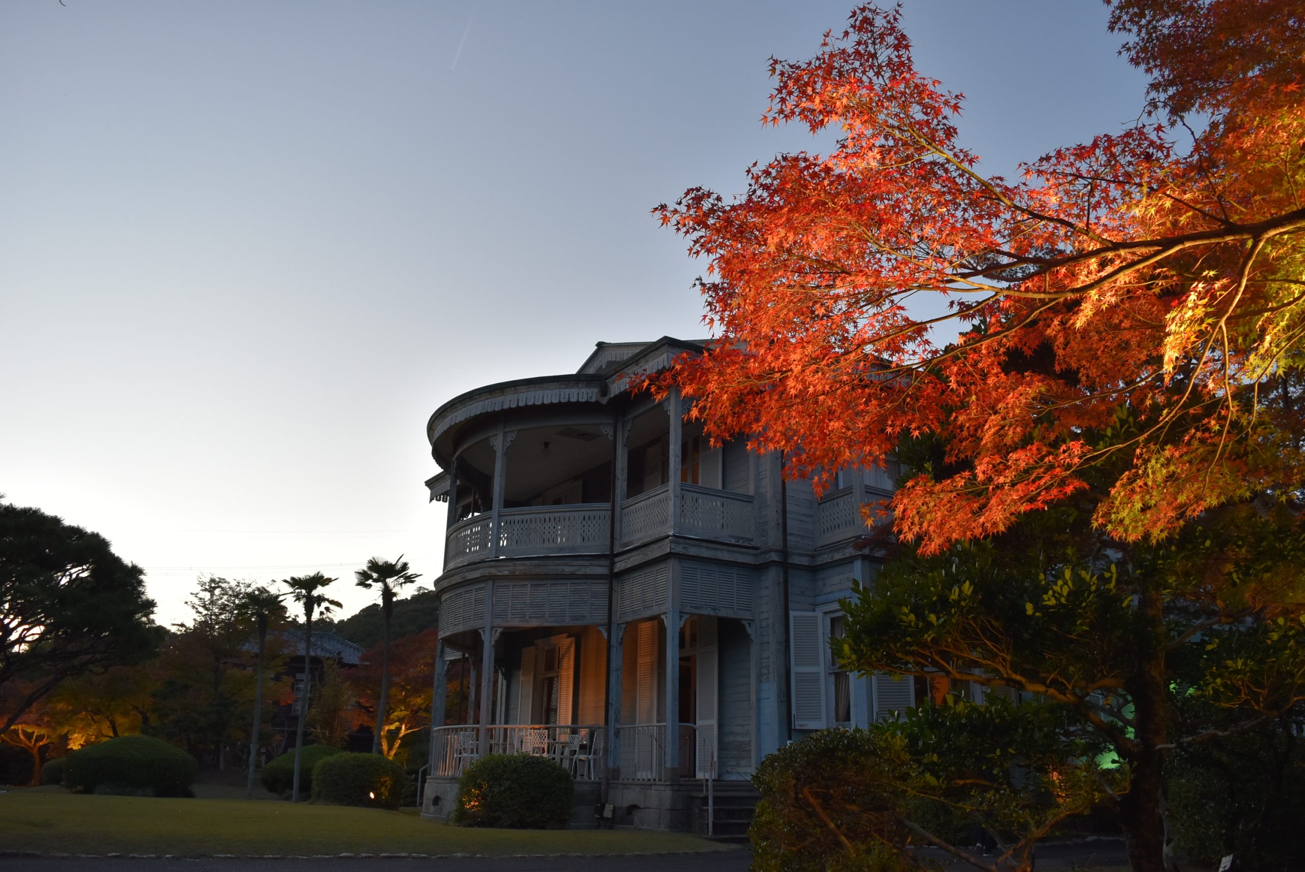 紅葉ライトアップ